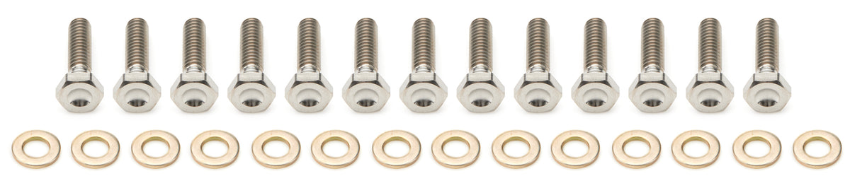 10in Beadlock Bolt Kit Titanium