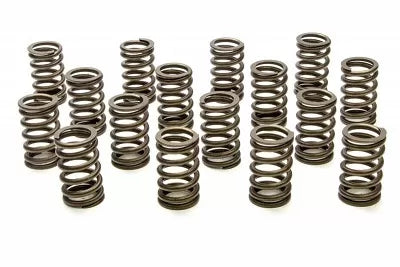 Valve Springs PAC